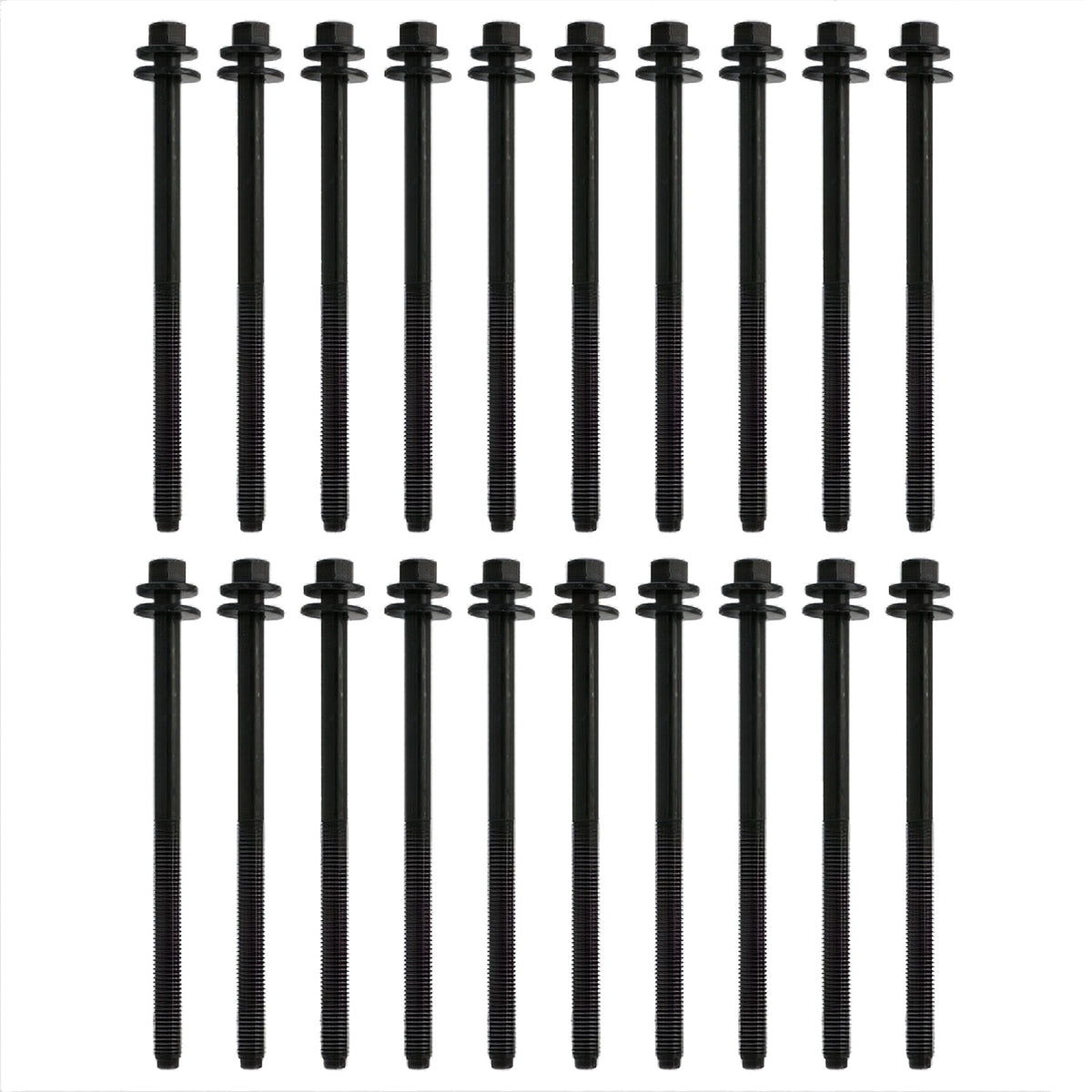 Ford Performance 5.0L/5.2L Coyote 12MM Long Head Bolt Kit (FRPM-6067-M501280)