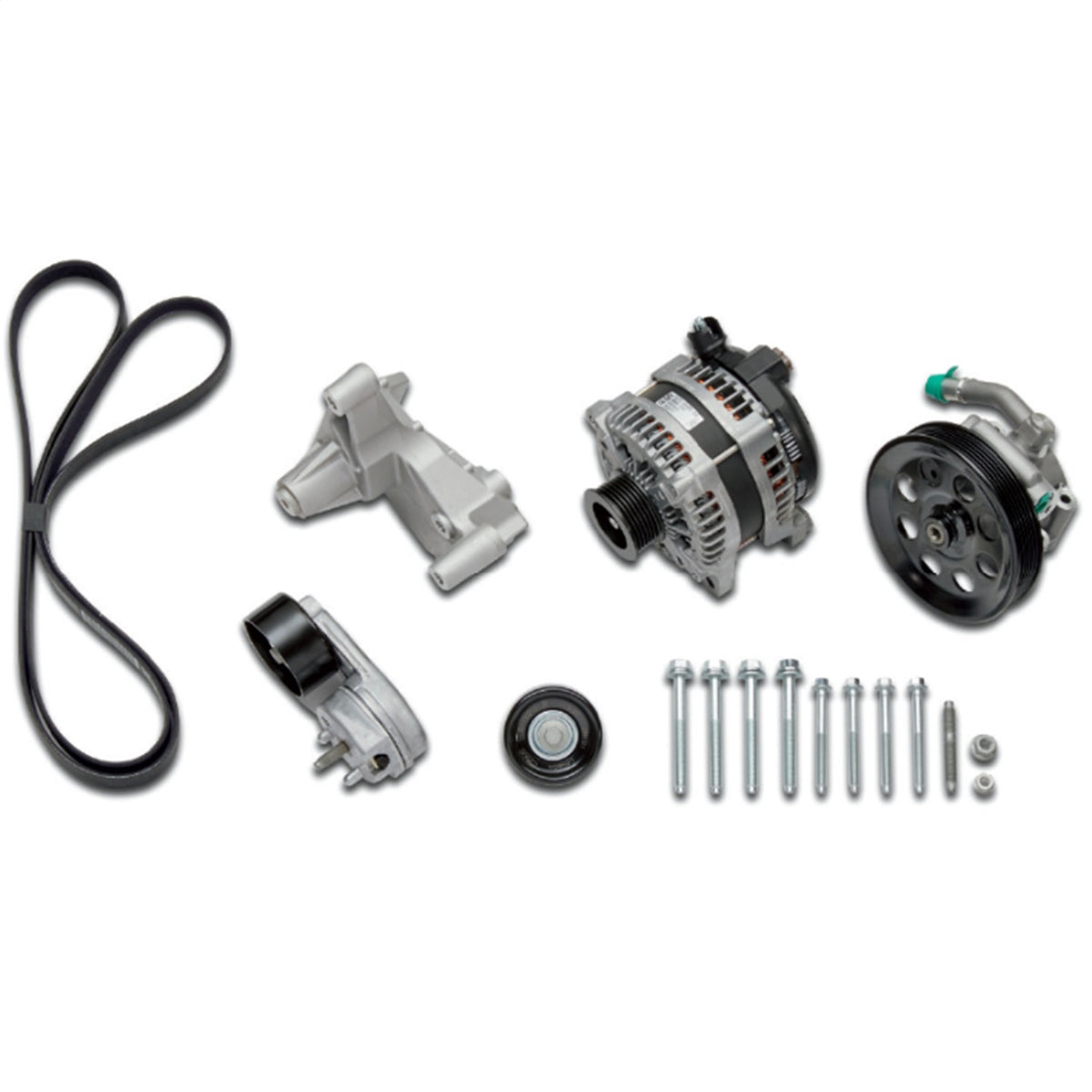 Ford Performance 7.3L Gas Engine Fead Kit (FRPM-8600-SD73)