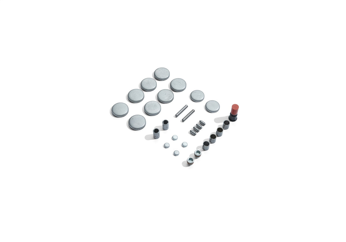 Ford Performance Block Plug And Dowel Kit For Boss 5.0 Block — detail (FRPM-6026-BOSS50)