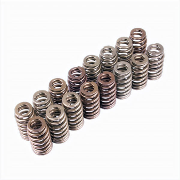 Ford Performance Boss 302R Valve Spring Kit (FRPM-6513-M50BR)