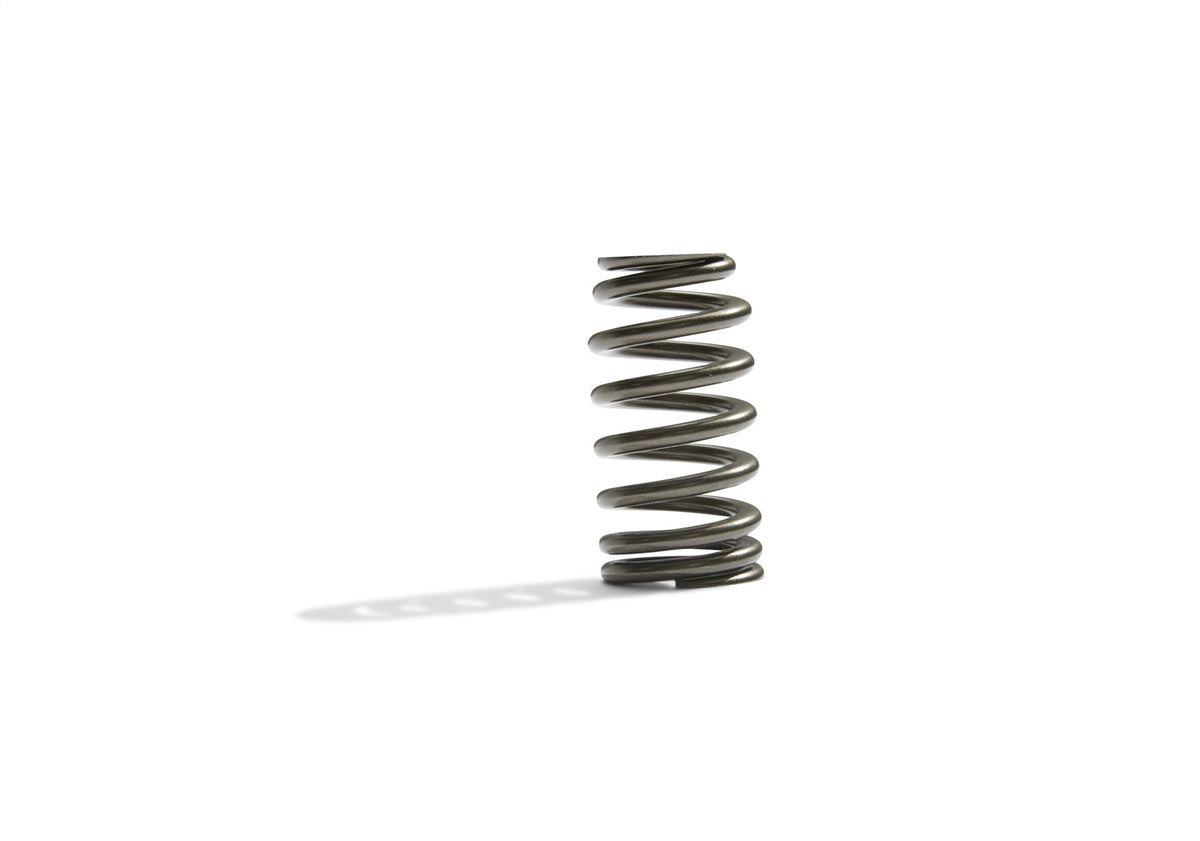Ford Performance Boss 302R Valve Spring Kit — detail (FRPM-6513-M50BR)
