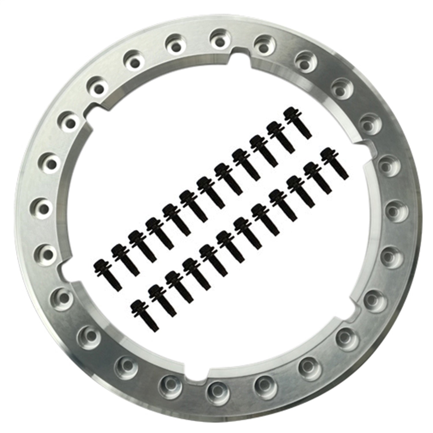 Ford Performance Functional Beadlock Ring Kit With Fasteners (FRPM-1021-F15RB)
