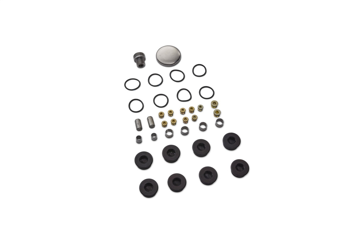 Ford Performance Plug And Dowel Kit For All Boss Blocks — additional view (FRPM-6026-BOSS)