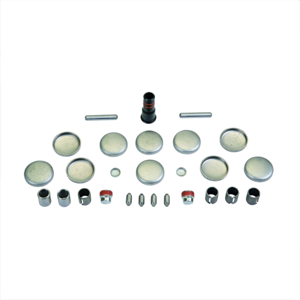 Ford Performance Plug And Dowel Kit (FRPM-6026-CI46)