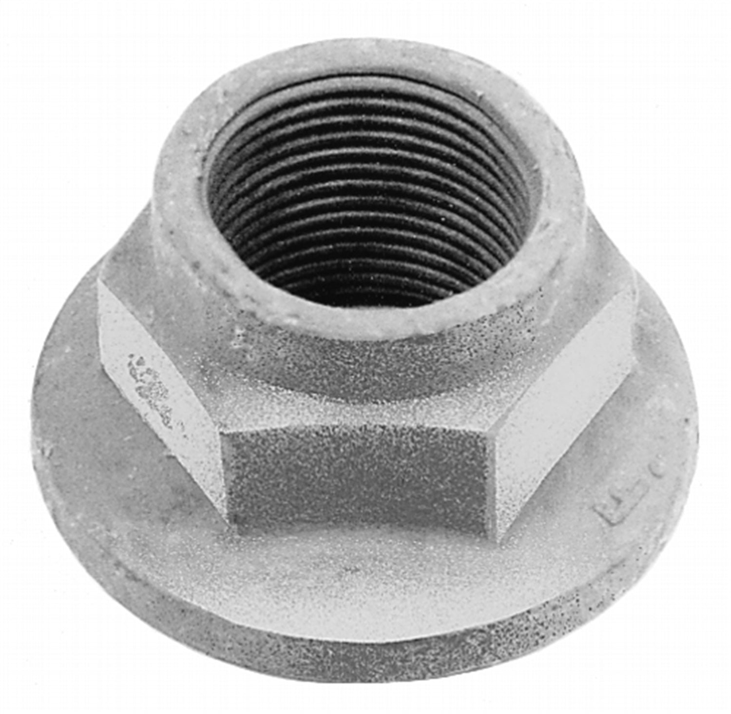 Ford Performance Universal Pinion Nut (FRPM-4213-A)