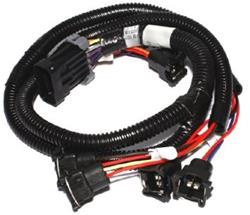 FAST Harness EZ-EFI Gen2 Main - 30308