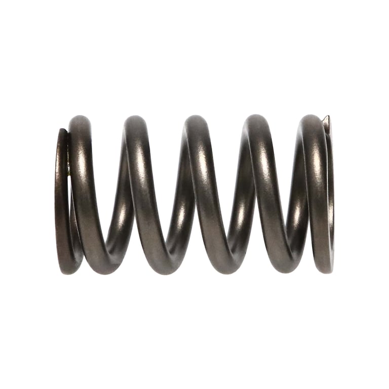 Manley Dodge SRT-4 16pc Valve Springs - 22190-16