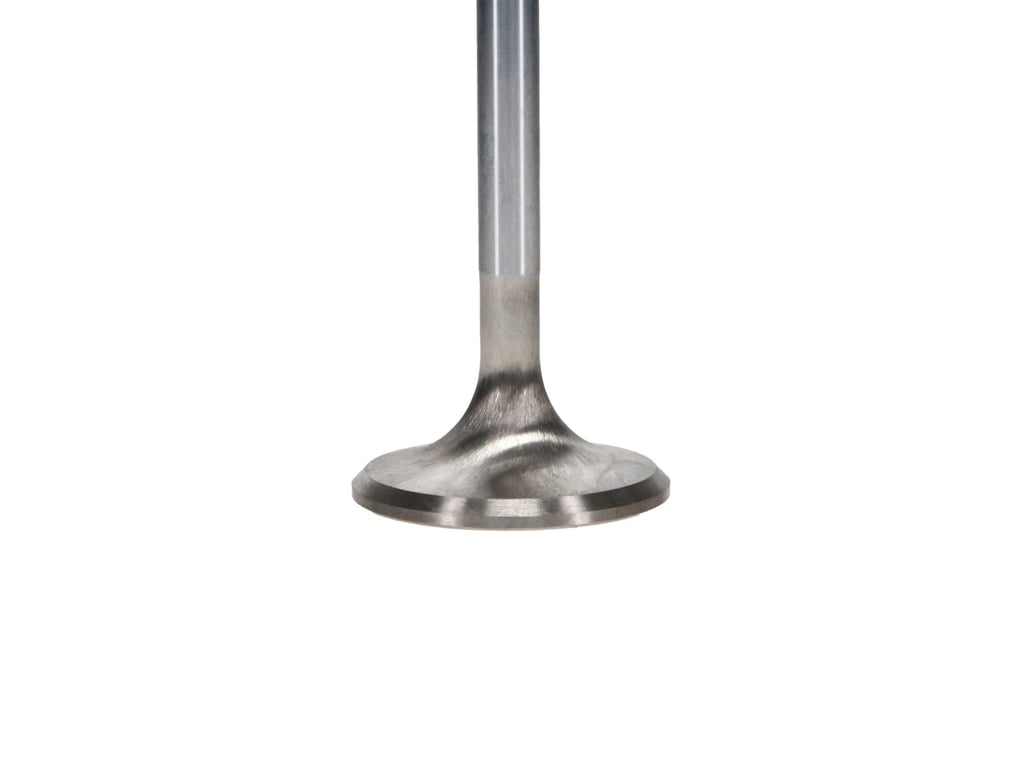 Manley Valves (representative image)