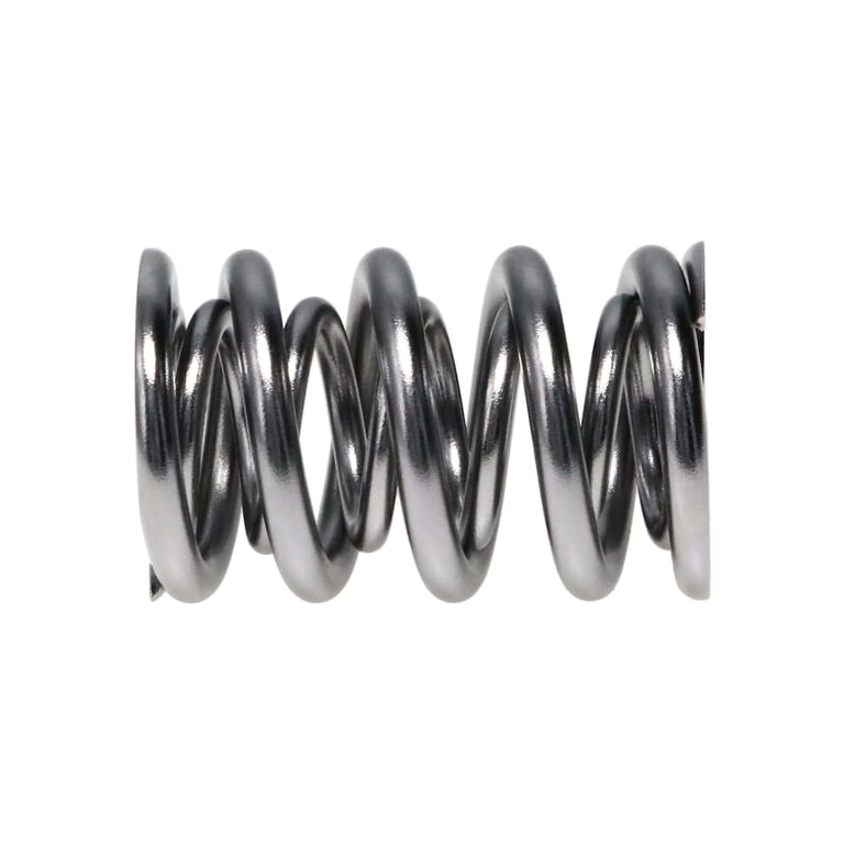 Manley Valve Spring, SPRING-1443 POLISHED - 221443P-16