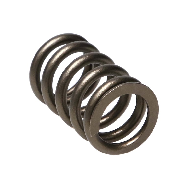 Manley Valve Spring, SPRING-NISSAN PATROL TB48 - 22155-24