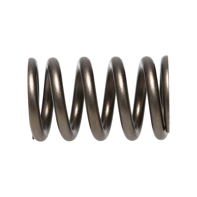 Manley Valve Spring, SPRING-NISSAN PATROL TB48 - 22155-24