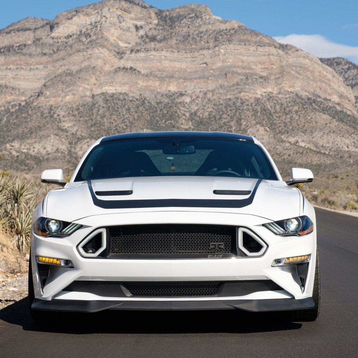 RTR Chin Spoiler (18-23 Mustang - Ecoboost & GT)