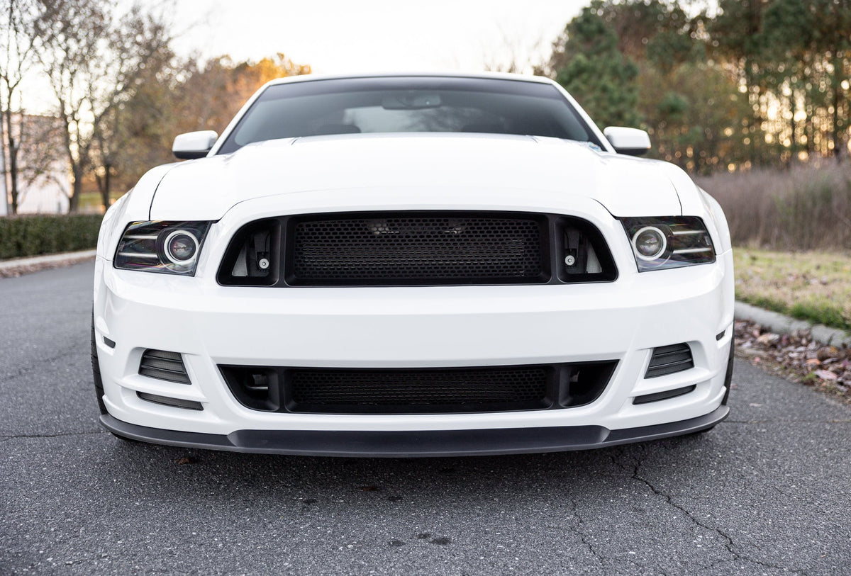 RTR Lower Grille (13-14 Mustang - GT, V6)