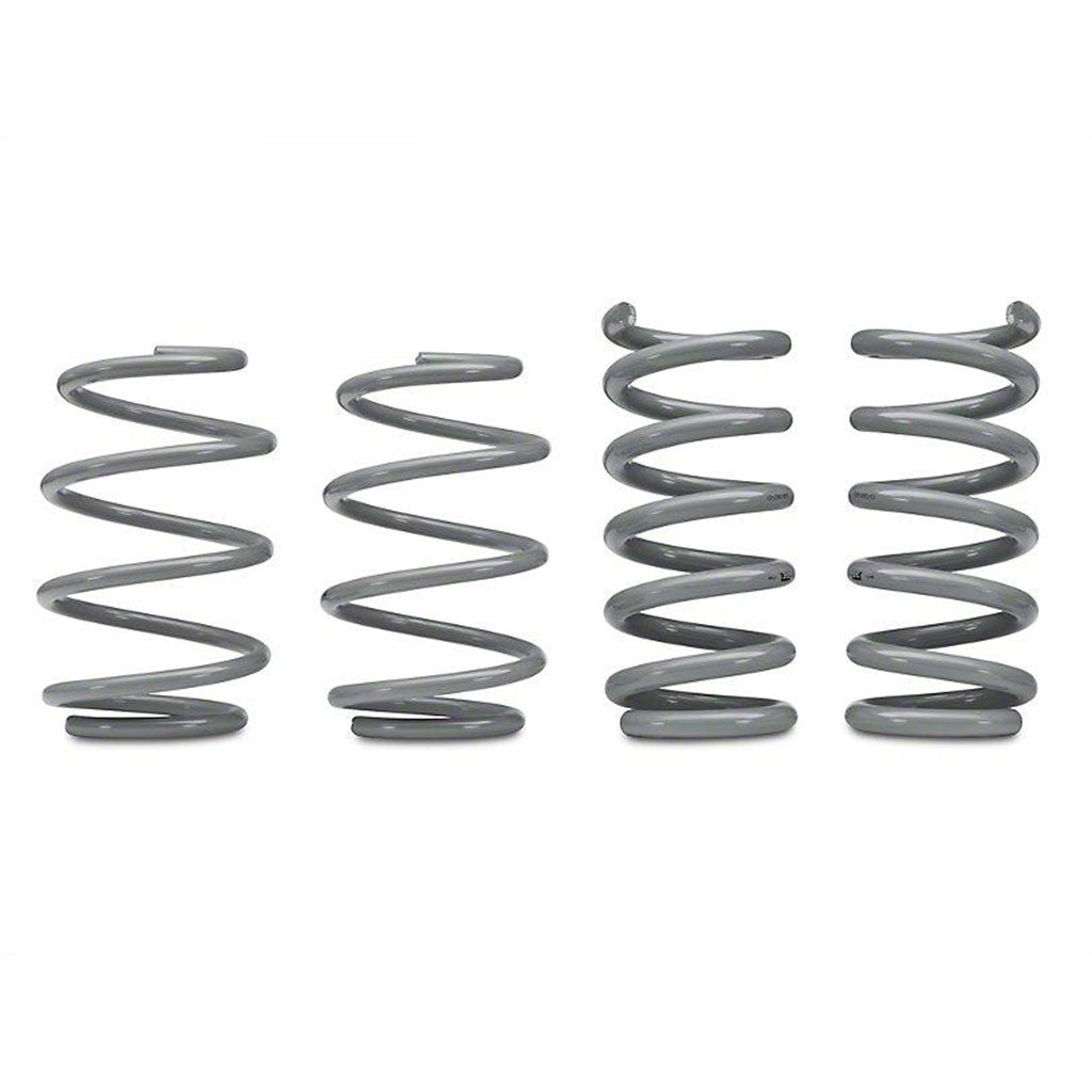 RTR Tactical Performance Lowering Springs (15-23 Mustang GT Fastback, EcoBoost w/ MagneRide)