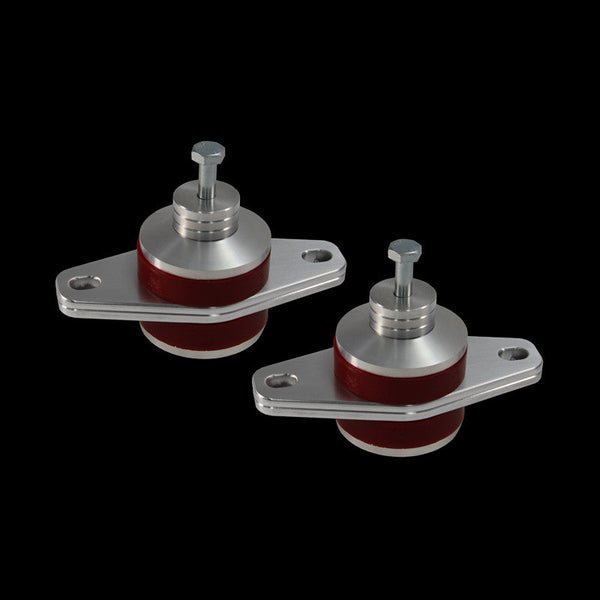 UPR - Pro-Series™ Urethane Street Adj Motor Mount Kit (fits 05-24 Mustang) UPR - 3013-10 for 2005-2026 Ford Mustang