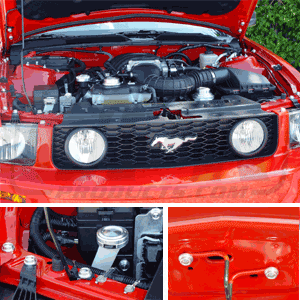 UPR - Billet Bolt Cover Kit (fits 05-09 Ford Mustang) UPR - 1107-50 for 2005-2009 Ford Mustang