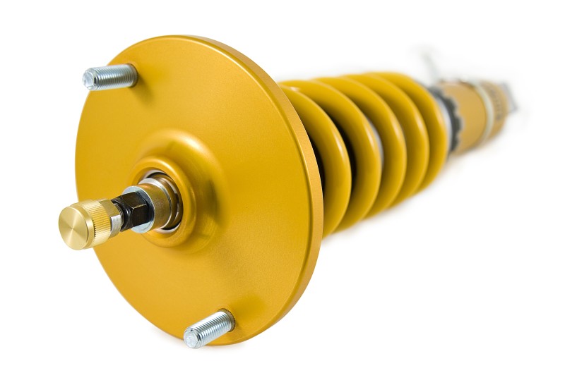 Ohlins 95-02 Nissan Skyline GT-R (R33/R34) Road &amp; Track Coilover System - NIS MI10S1