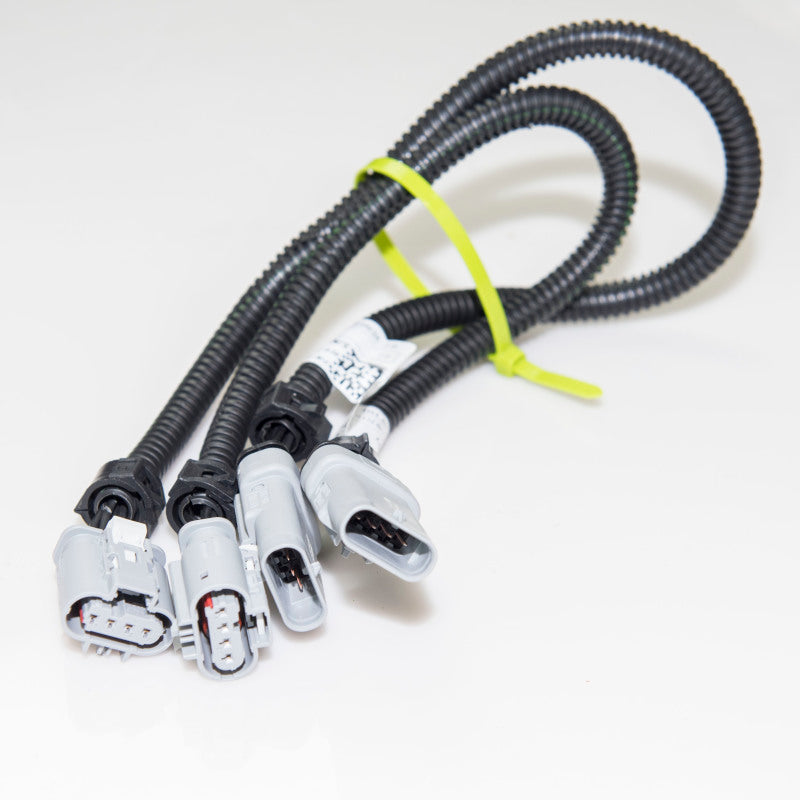 Kooks 2014-2019 Chevrolet Corvette C7 O2 Sensor Extension Harness - EX685-Z for 2014-2019 Chevrolet Corvette - front view