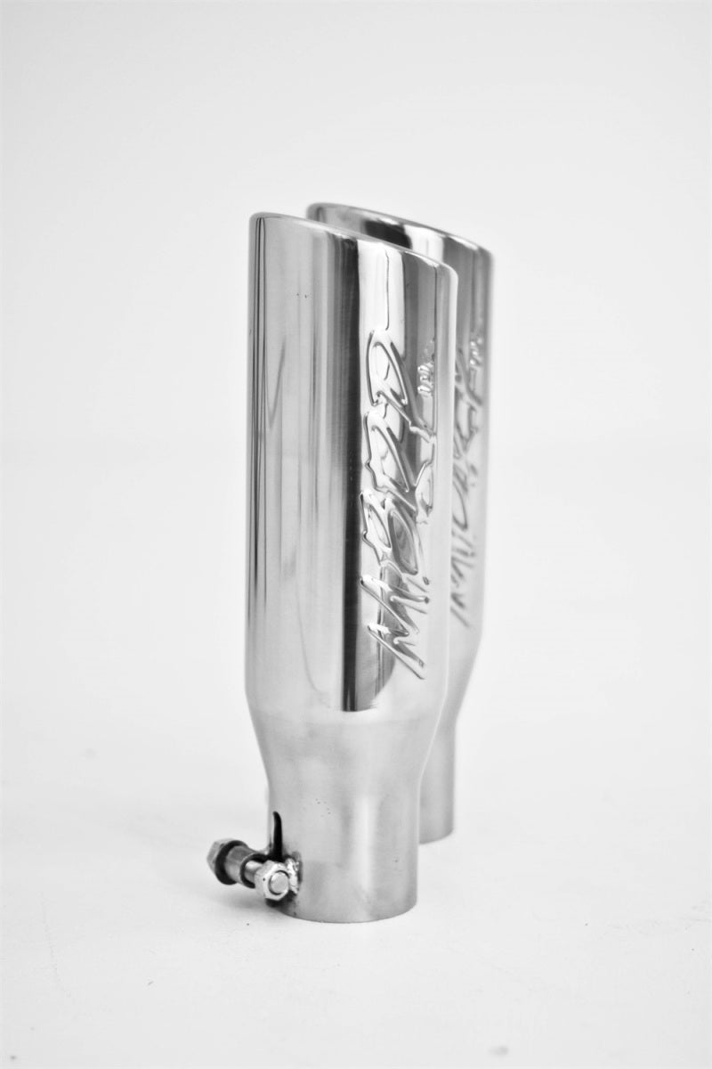 MBRP 11 Ford F-150 5.0L V8 Aluminized Cat Back Dual Split Side Exit - S5232AL