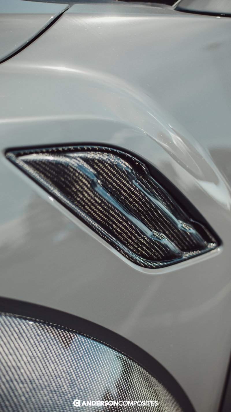 Anderson Composites 17-18 Ford Raptor Type OE Carbon Fiber Fender Vents - AC-FFI17FDRA