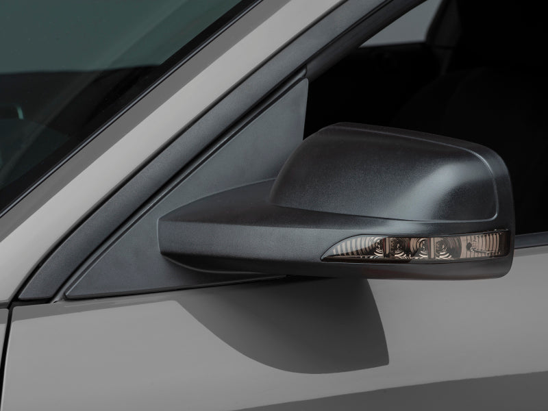Raxiom 05-09 Ford Mustang Directional Sideview Mirrors - 94327