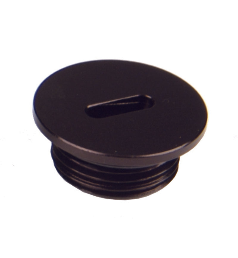 Aeromotive AN-08 O-Ring Boss - Slim Line - Port Plug - 15618