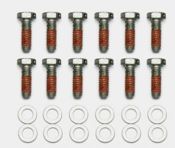 Wilwood Bolt Kit - 5/16-18 x 1.00 LG - 12 pk - 230-14086 by Wilwood