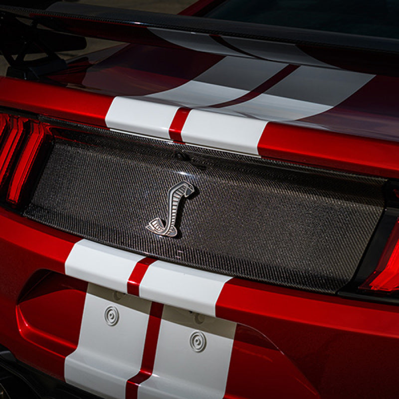 Ford Racing 20-21 Mustang GT500 Deck Lid Trim Panel - M-16600-MCF
