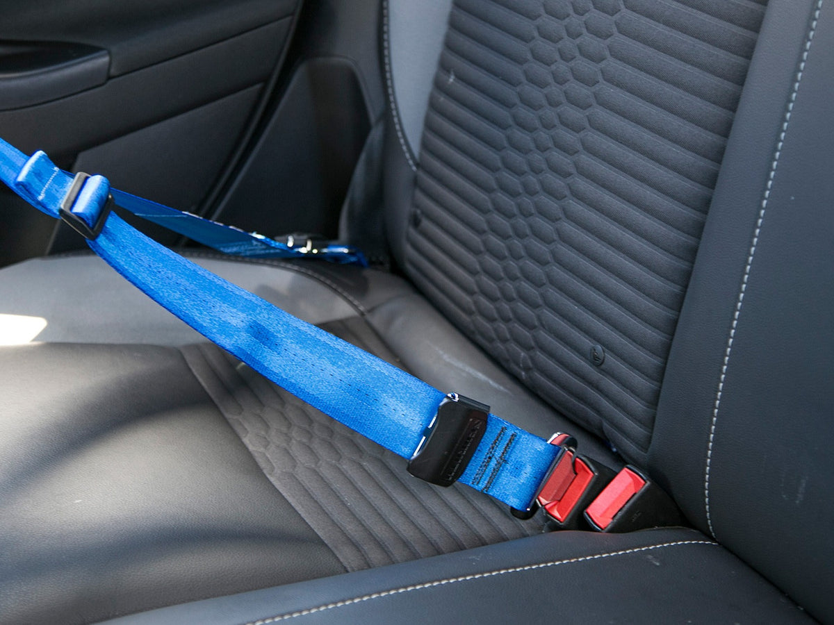 Schroth - Ford Focus ST 2013-2018 &amp; Focus RS 2016-2018 - Schroth QuickFit Harness Right Side - Blue