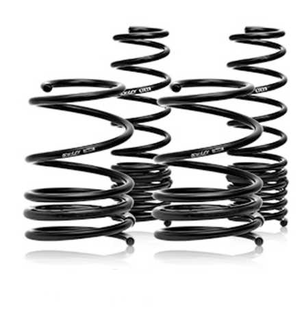 Ford Fiesta ST Swift Spec-R Springs 2014+