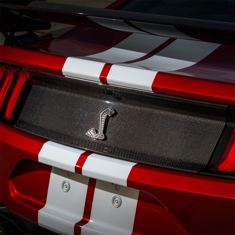 Ford Racing 20-21 Mustang GT500 Deck Lid Trim Panel - M-16600-MCF