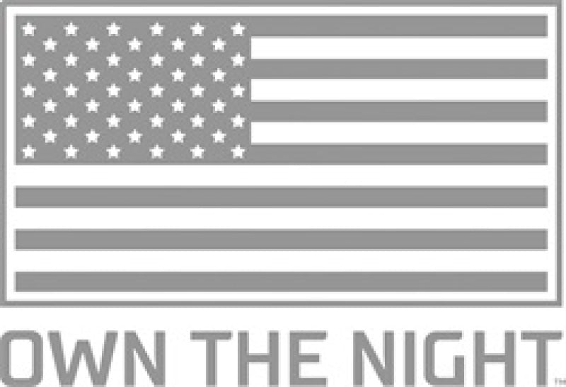 Rigid Industries 10-20 Toyota 4Runner A-Pillar Light Kit (Includes D-SS Flood) - 46703